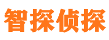 西藏找人公司